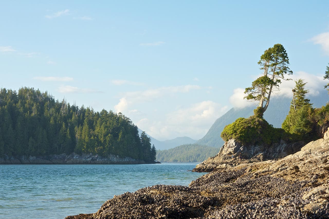 Sustainable Travel and Ecotourism Islands: Vancouver Island
