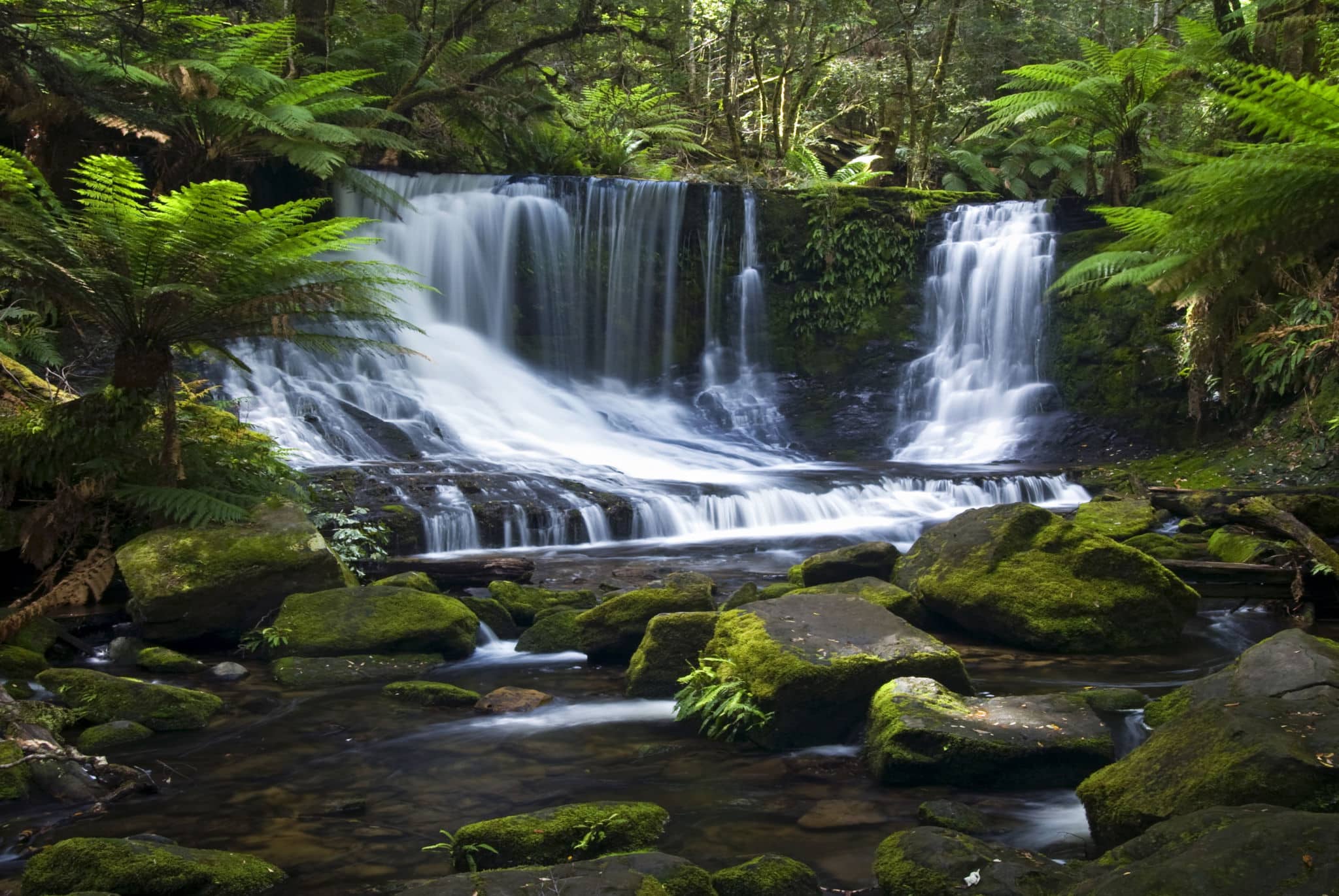 Tasmania, Australia