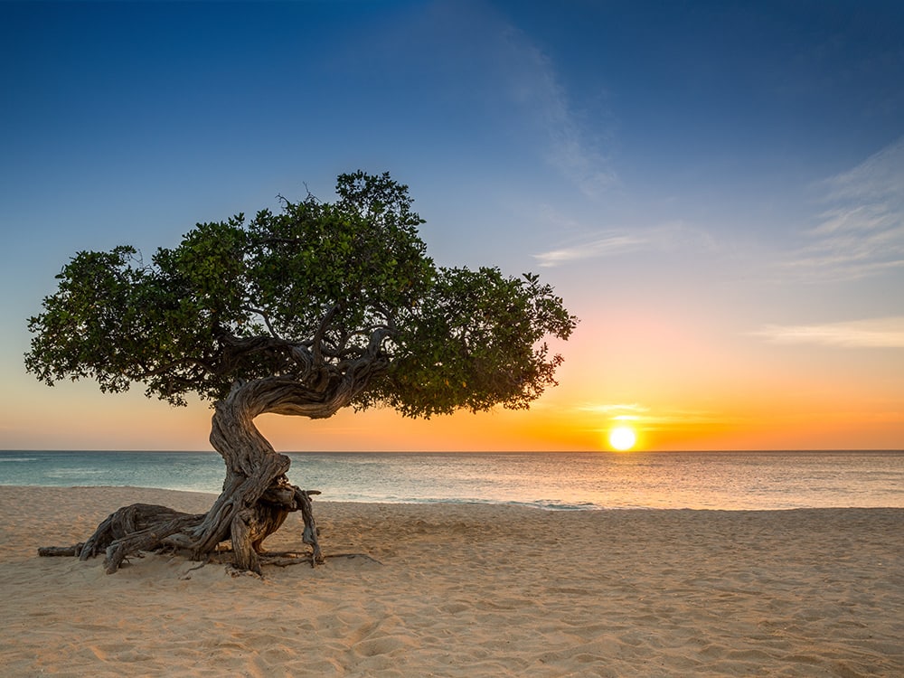 Aruba