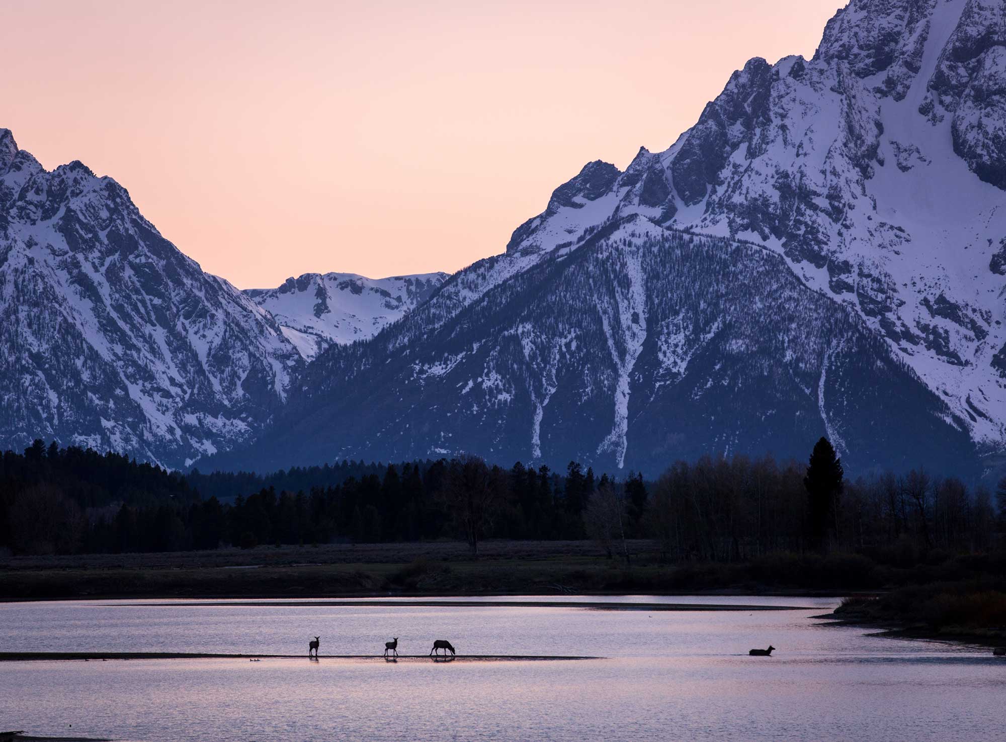 Destination Weddings Venues With Best Views | Unique Places to Get Married | Best Wedding Resorts | Jackson Hole