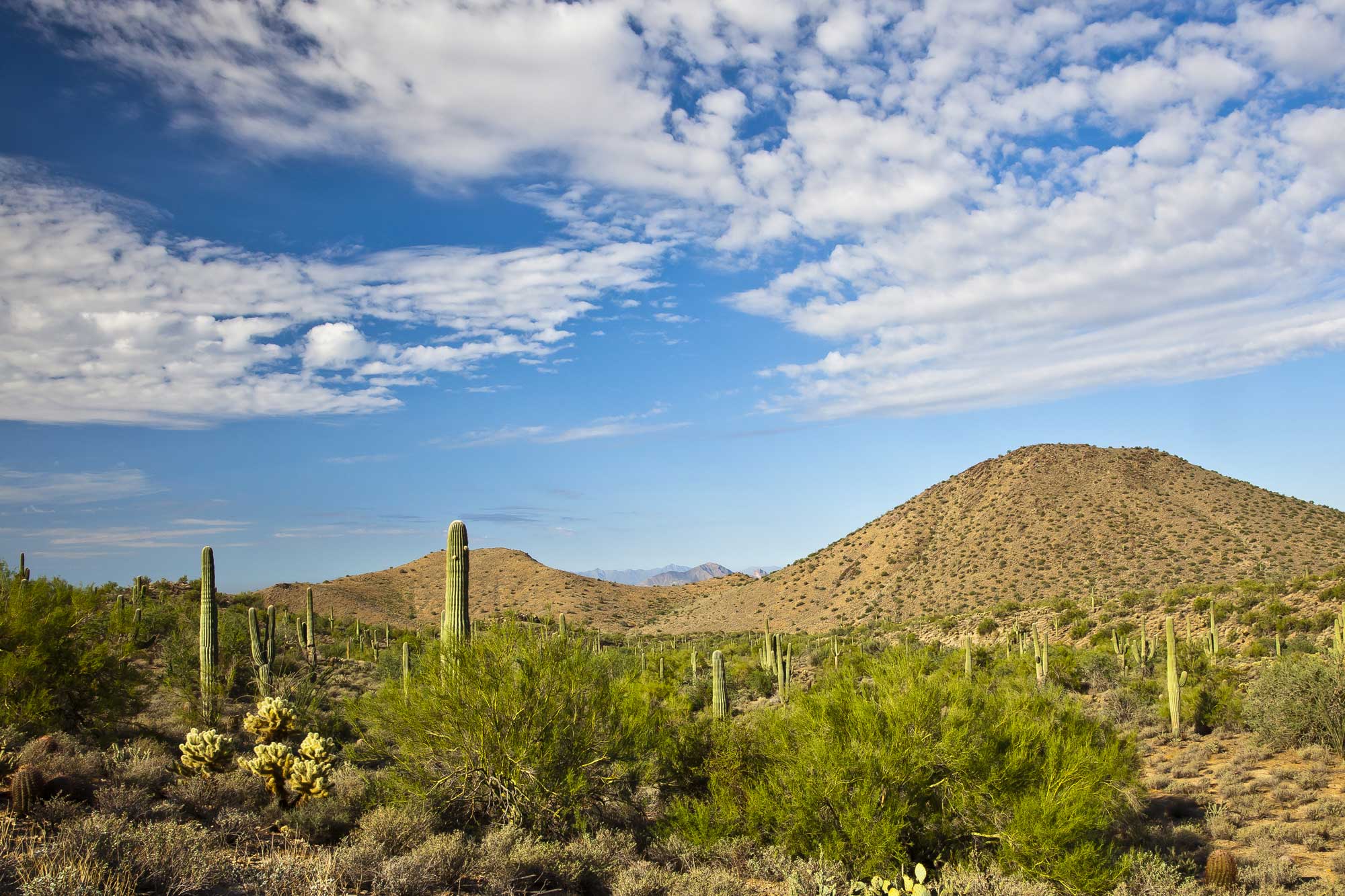 Best Wedding Locations for 2014: Scottsdale, Arizona