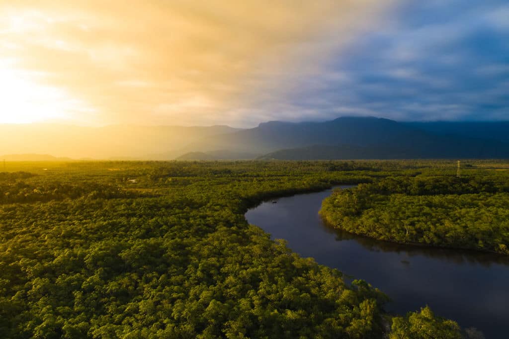Themed Cruises: Amazon River Cruise with Jean-Michel Cousteau