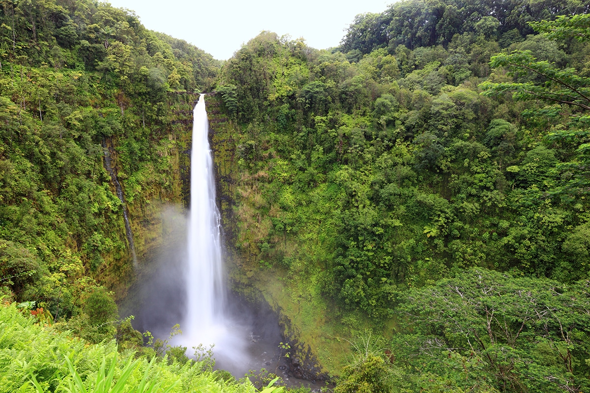 Best Things to Do in Big Island Hawaii - Akaka Falls State Park