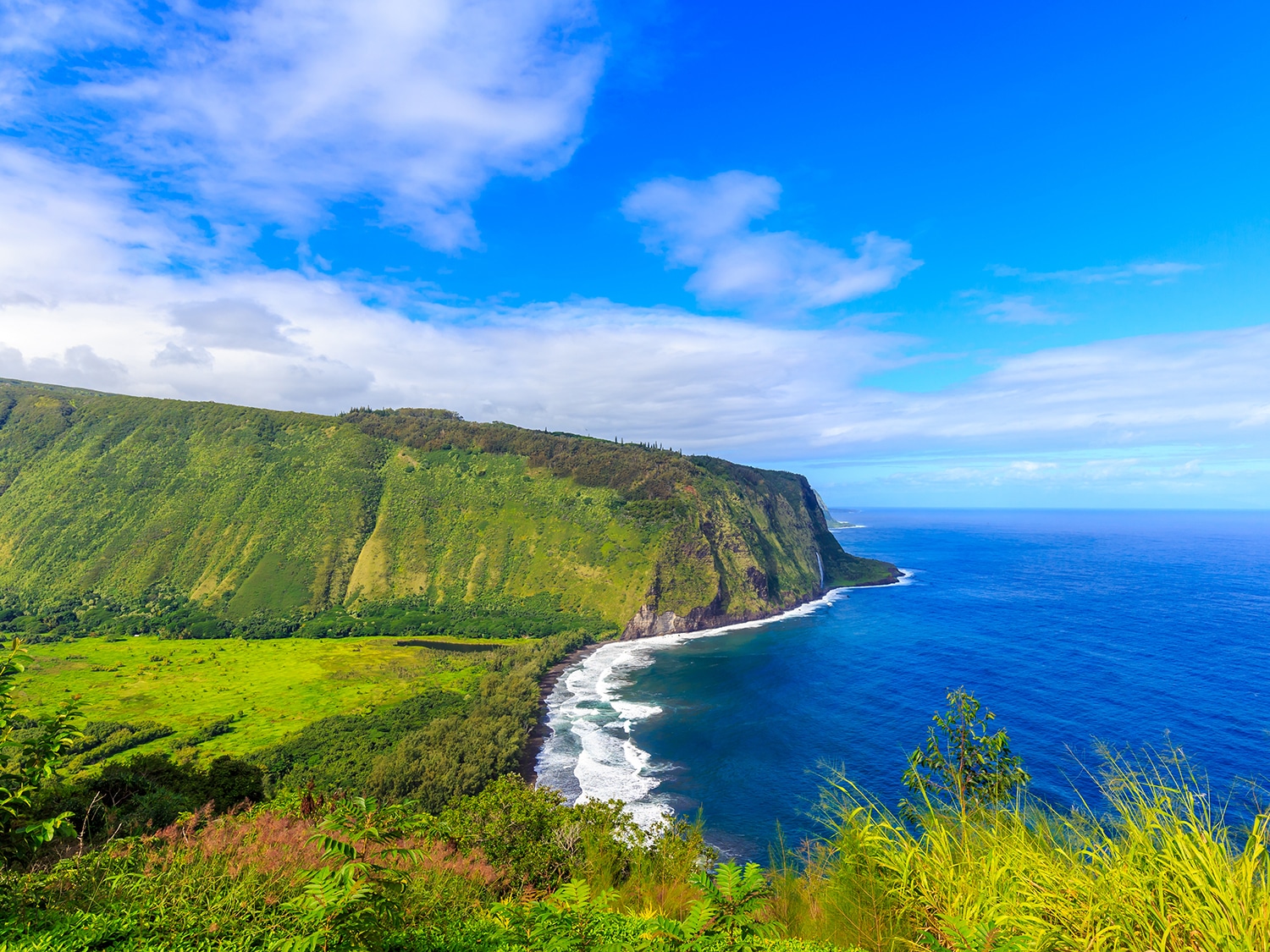 Best Things to Do in Big Island Hawaii - Waipio Valley