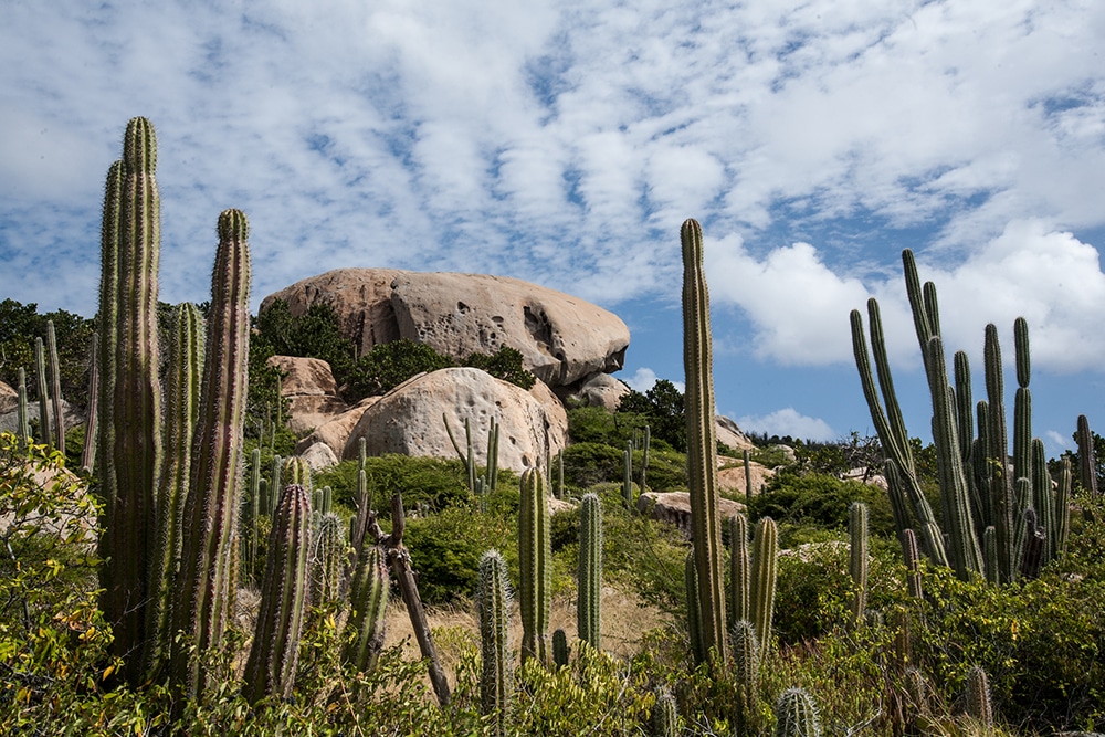 Things to Do in Aruba on Vacations: Ayo Rock Formations