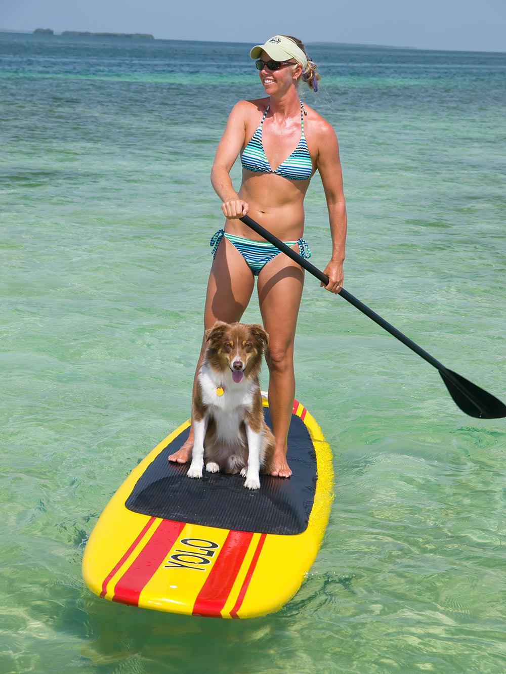 Things to do in Key West: Paddleboard with your dog