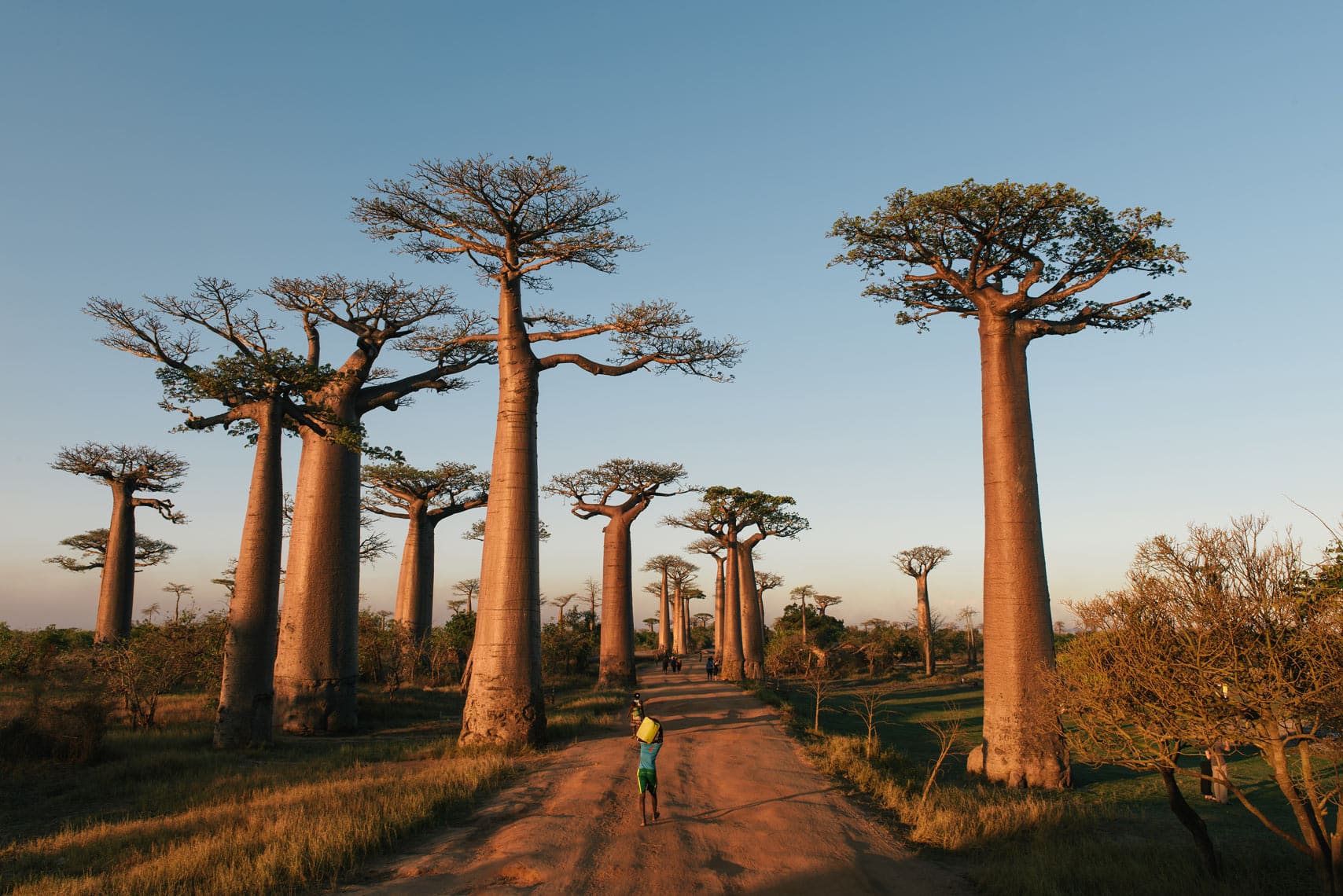 Things to do in Madagascar: Marvel at Sunset on the Avenue of the Baobabs