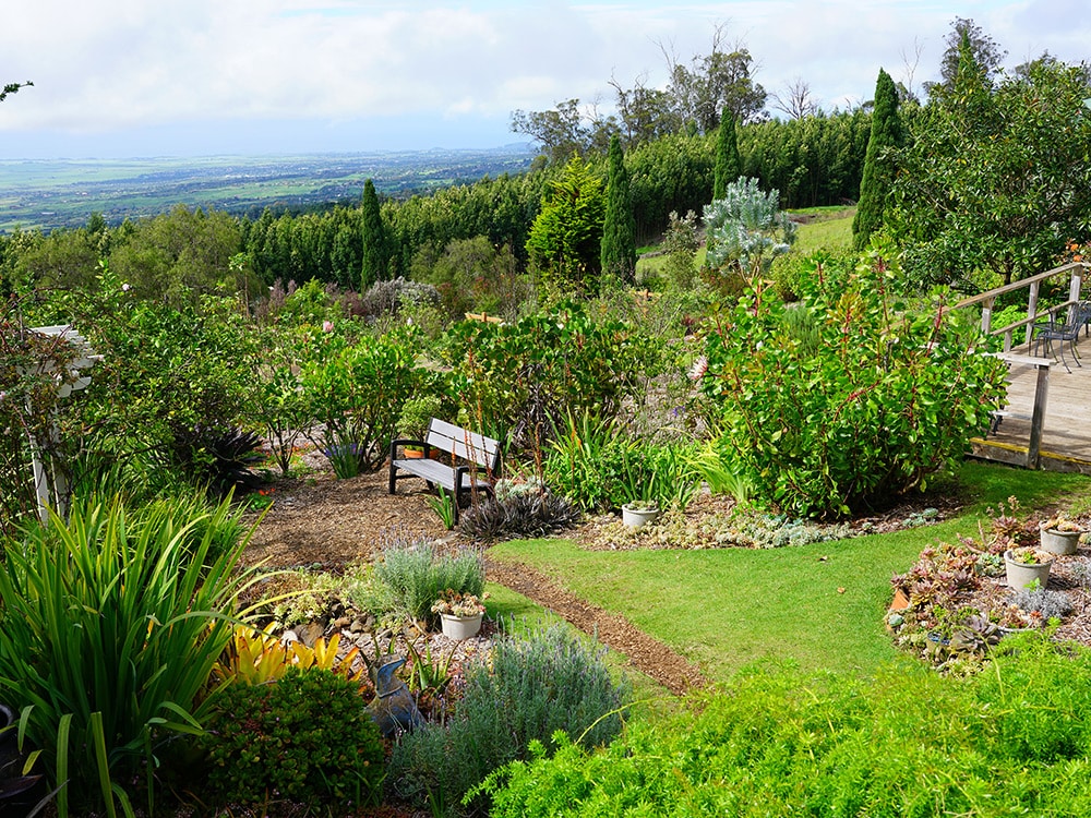 Things to do in Maui with kids: Alii Kula Lavender Farm