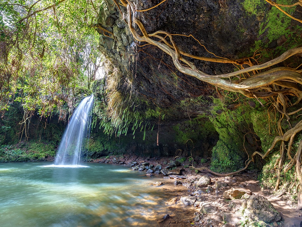 Things to do in Maui with kids: Twin Falls on the Road to Hana