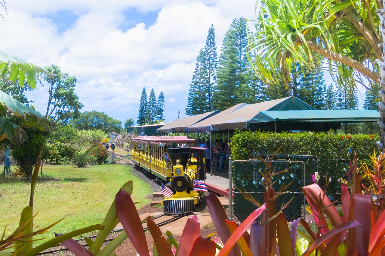 Things to Do in Oahu: Dole Plantation