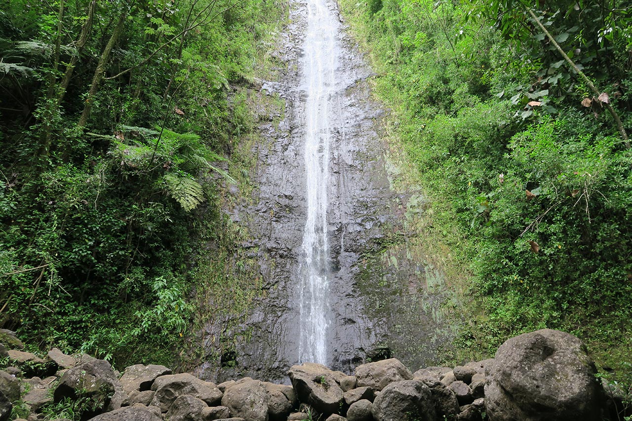Things to Do in Oahu: Manoa Falls
