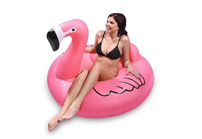 Travel Accessories: flamingo float