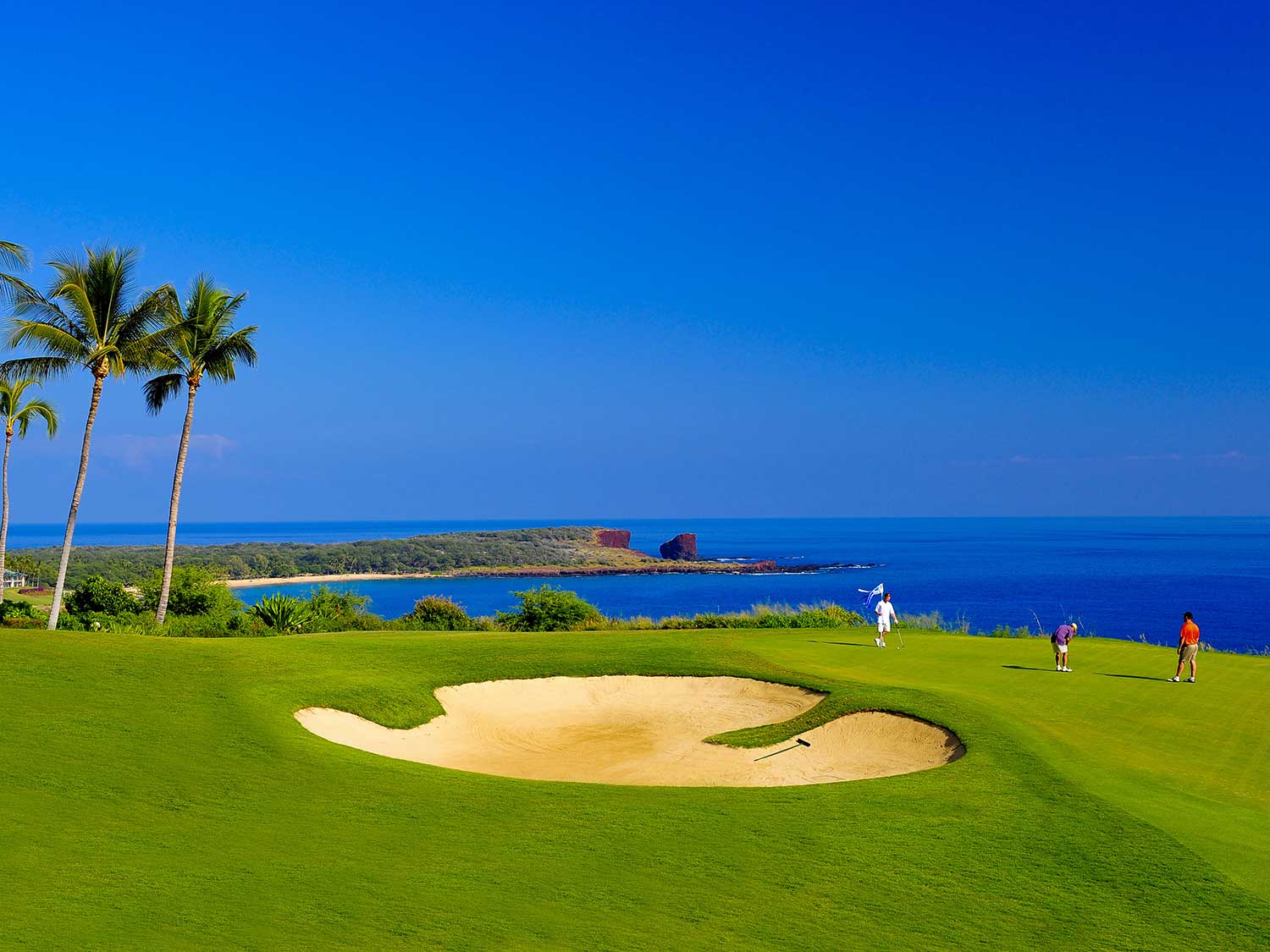 Men golfing on island.