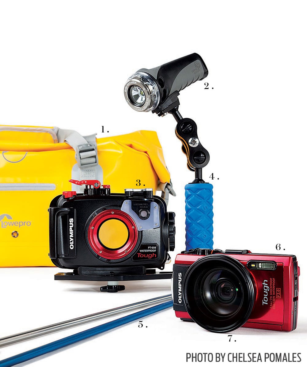 underwater photography gear amateur