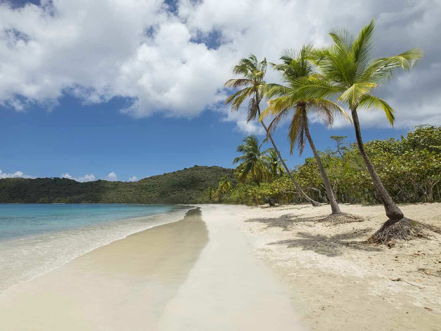 Quiet beach U.S. Virgin Islands