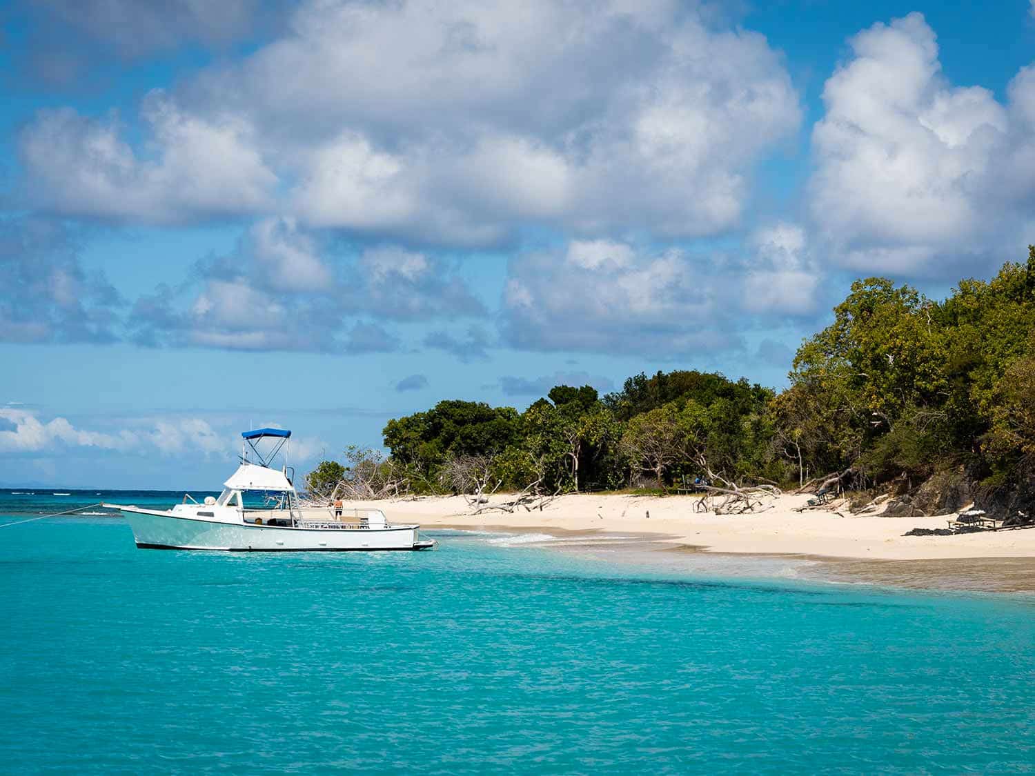 With beautiful beaches and ample snorkeling, Buck Island in the U.S. Virgin Islands is a popular destination for day trips.