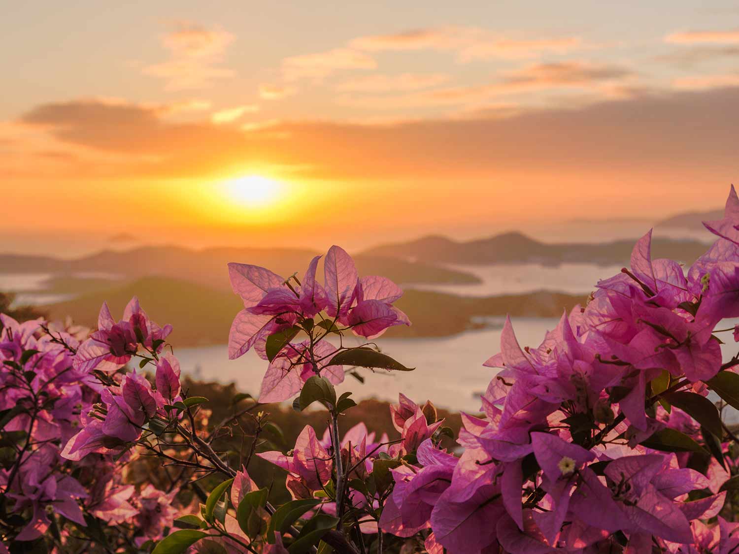 U.S. Virgin Islands