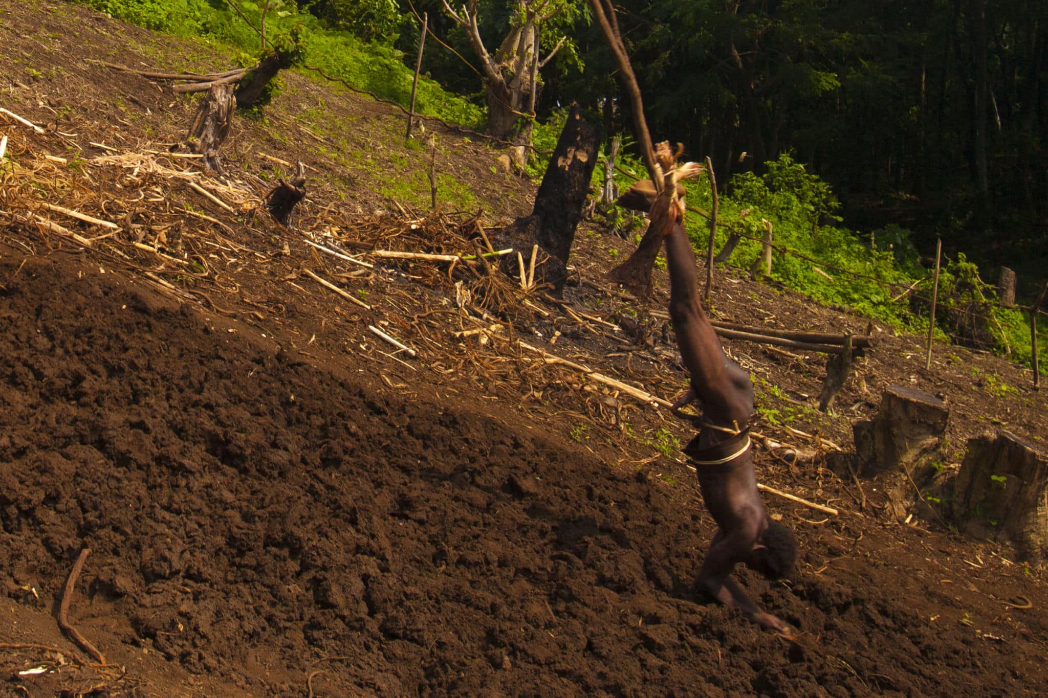 9. Vanuatu Bungee Jumping | Extreme Bungee Jumps | Islands