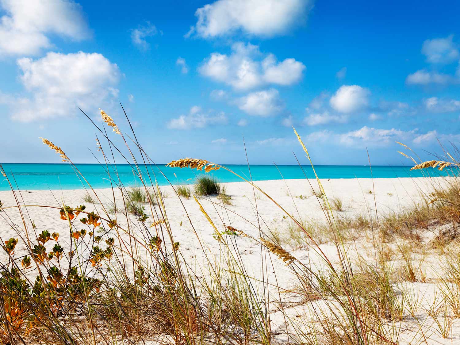 Water Cay Beach in Turks and Caicos perfectly displays the region's immense natural beauty.