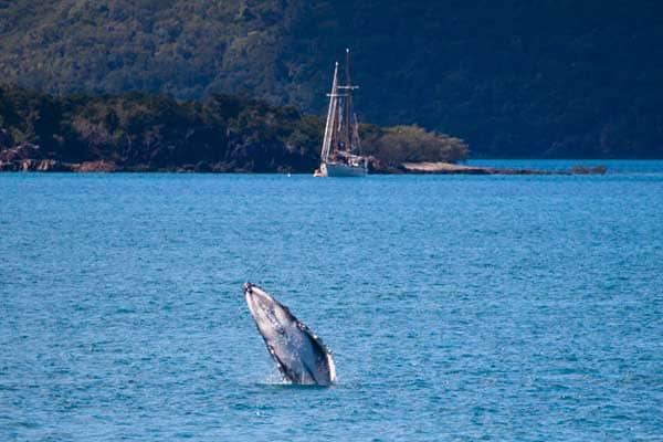 Australia's Hayman Island