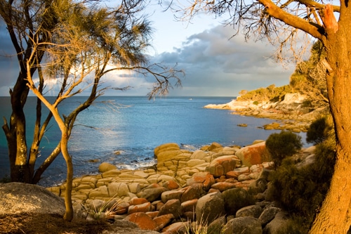 wild-islands-tasmania-95875325.jpg