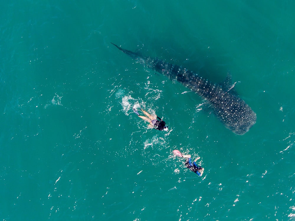 Isla Mujeres, Mexico