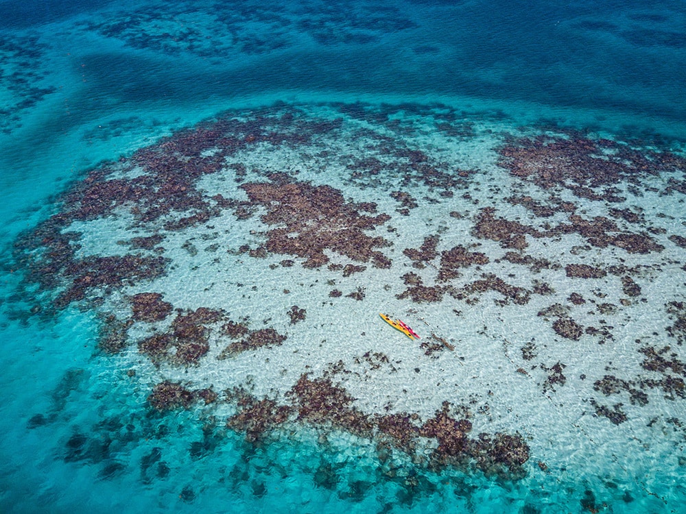 Glovers Reef Atoll, Belize