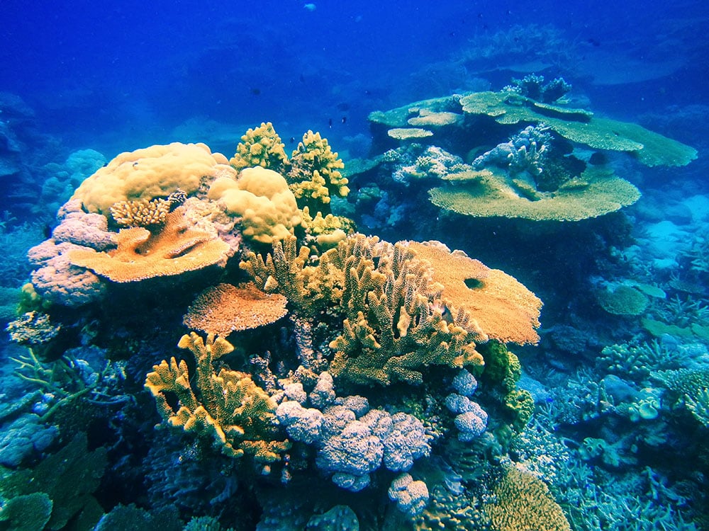 Taveuni, Fiji