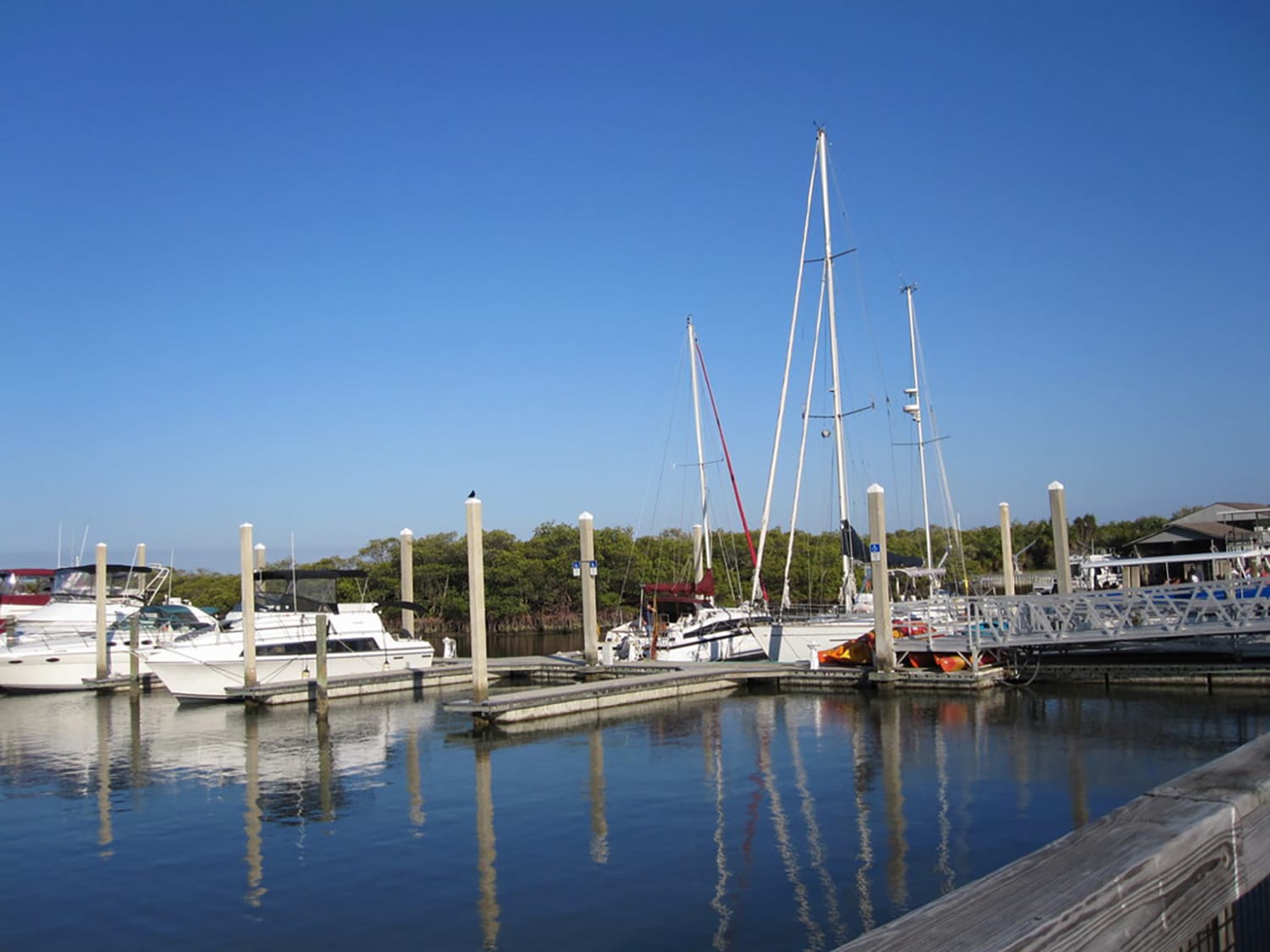 Caladesi Marina