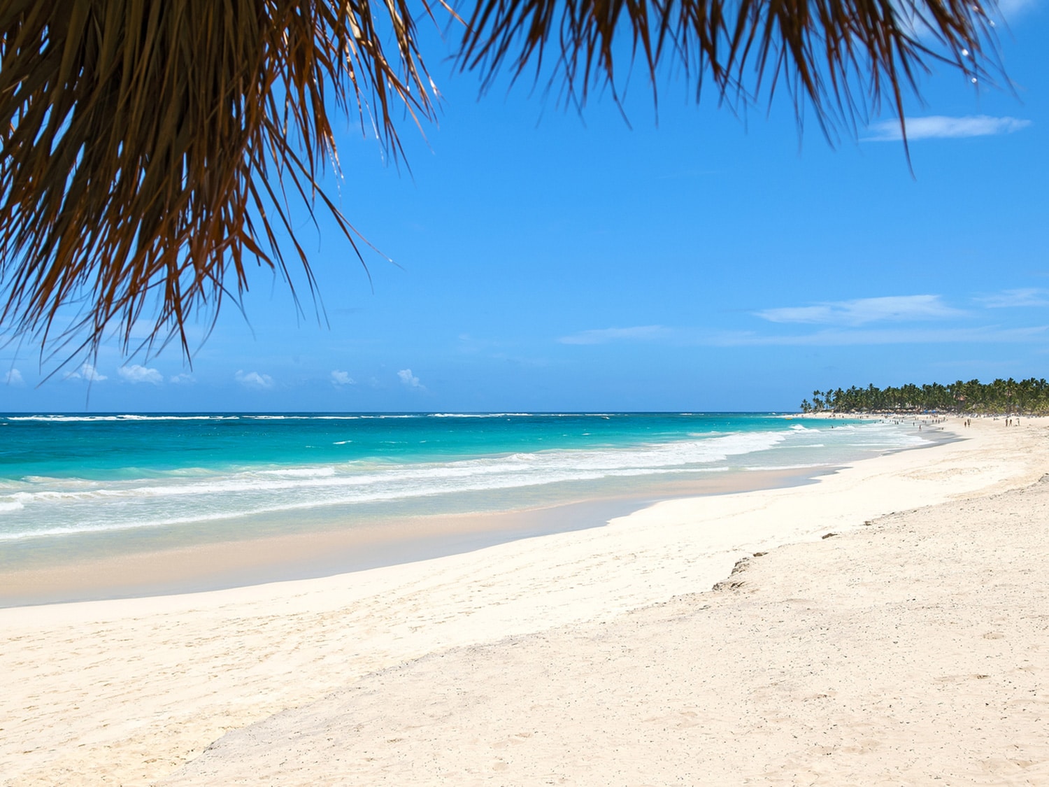 The beach at the Hard Rock Punta Cana