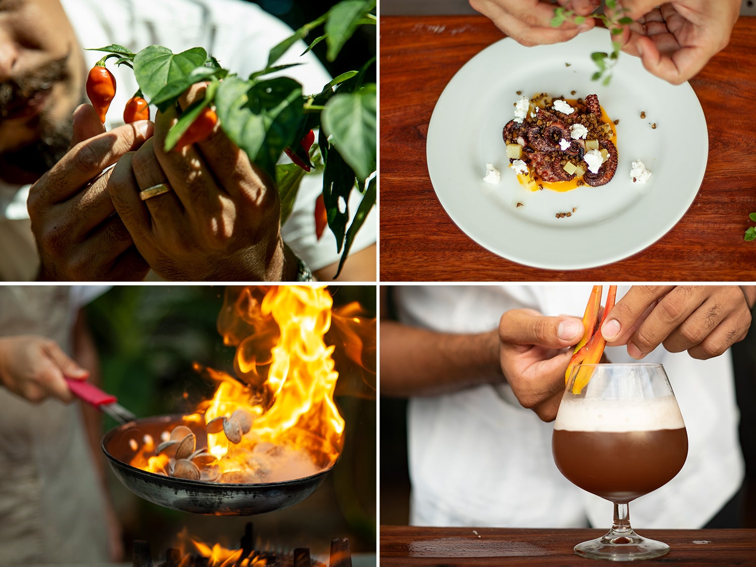 Isla Palenque's chefs create authentic, fresh Panamanian cuisine with modern twists.