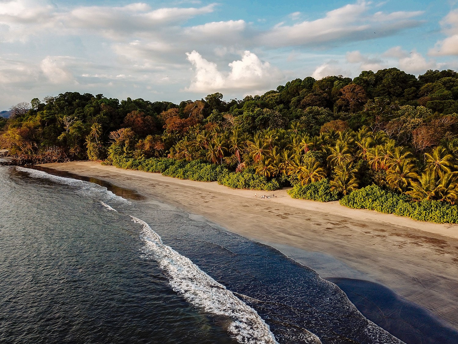 Isla Palenque in Panama is devoted to sustainability and keeping the natural elements protected.