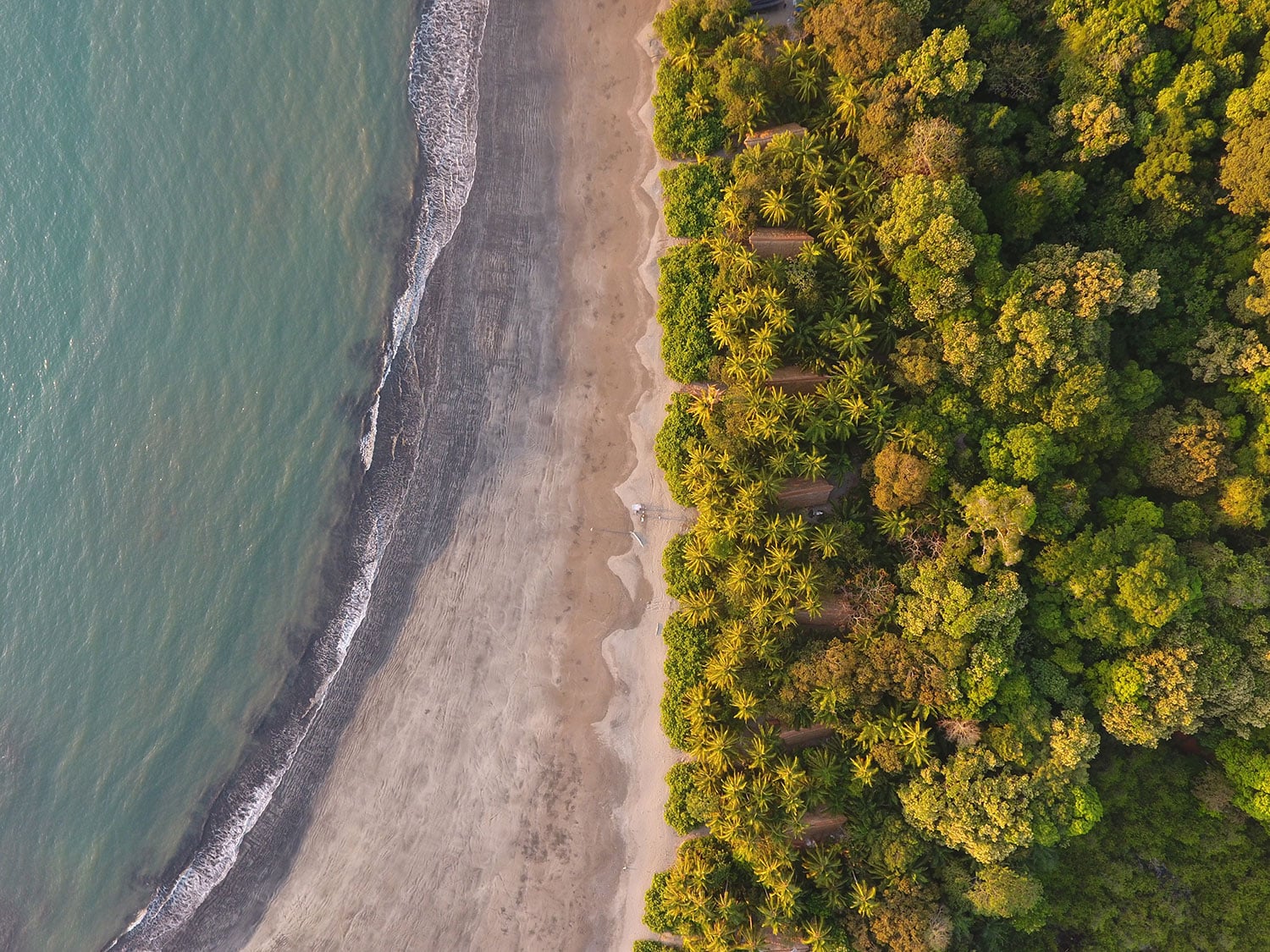 Aerial view of the beach on Isla Palenque, a private island experience in Panama’s Gulf of Chiriqui.