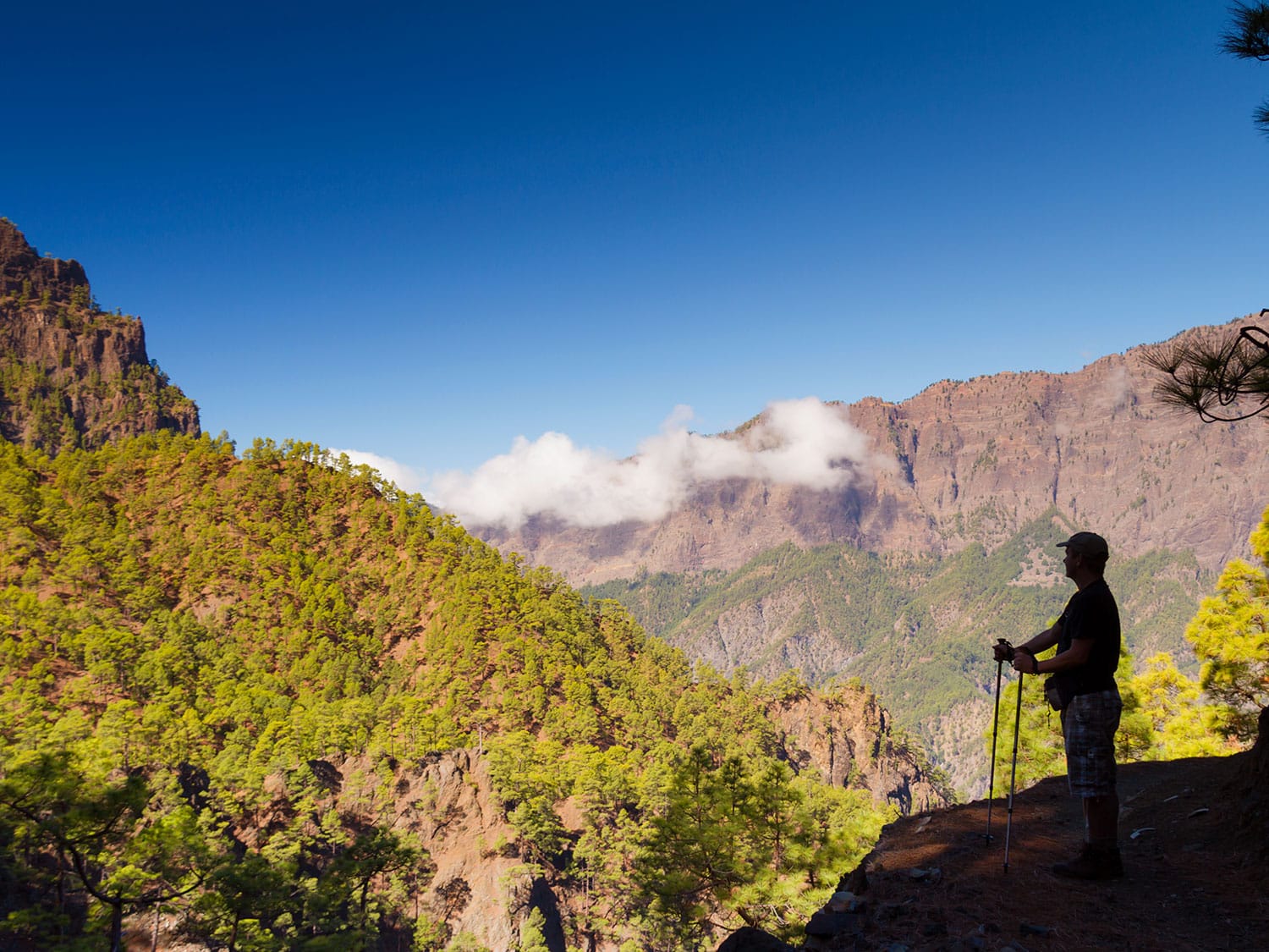 La Palma