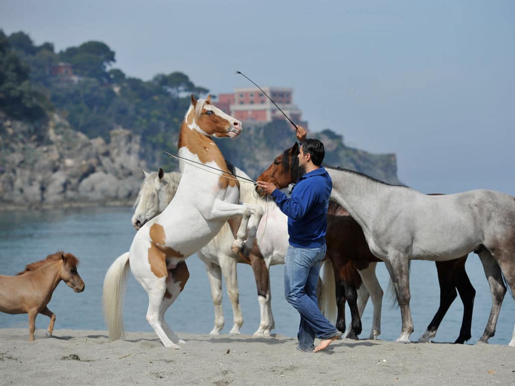 Messina with horses