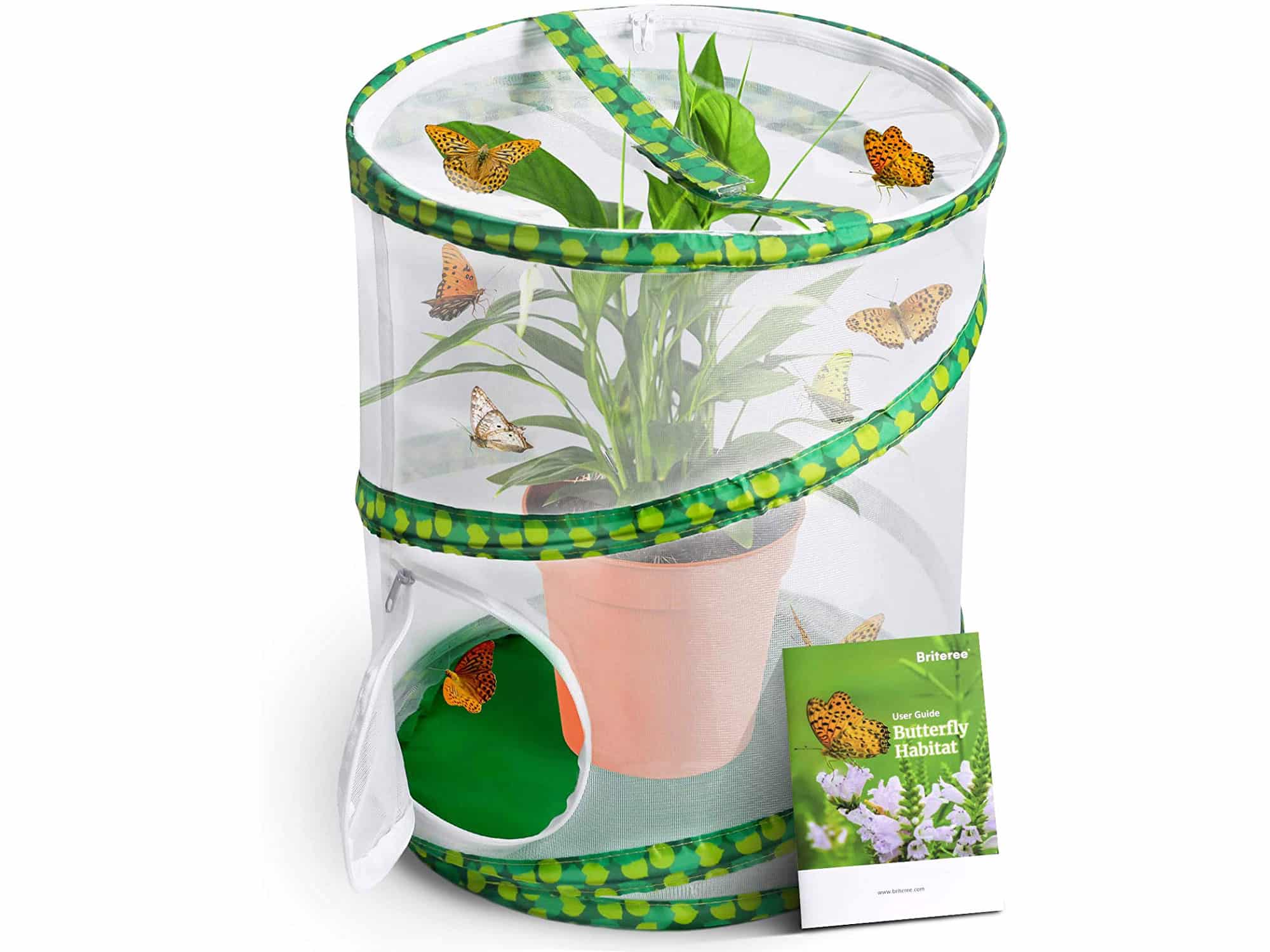 Briteree Butterfly Habitat Cage for Kids, Include Quick Start Guide Manual, Pop Up 12 X 14 Inches, Unrestricted Clear Vision