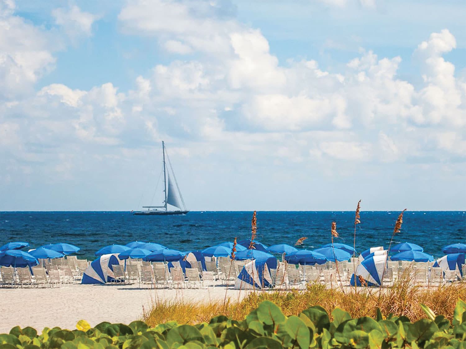 Palm Beach