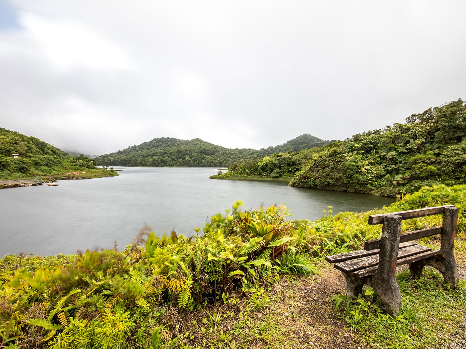 Wilderness and water around Fort Young Hotel & Dive Resort