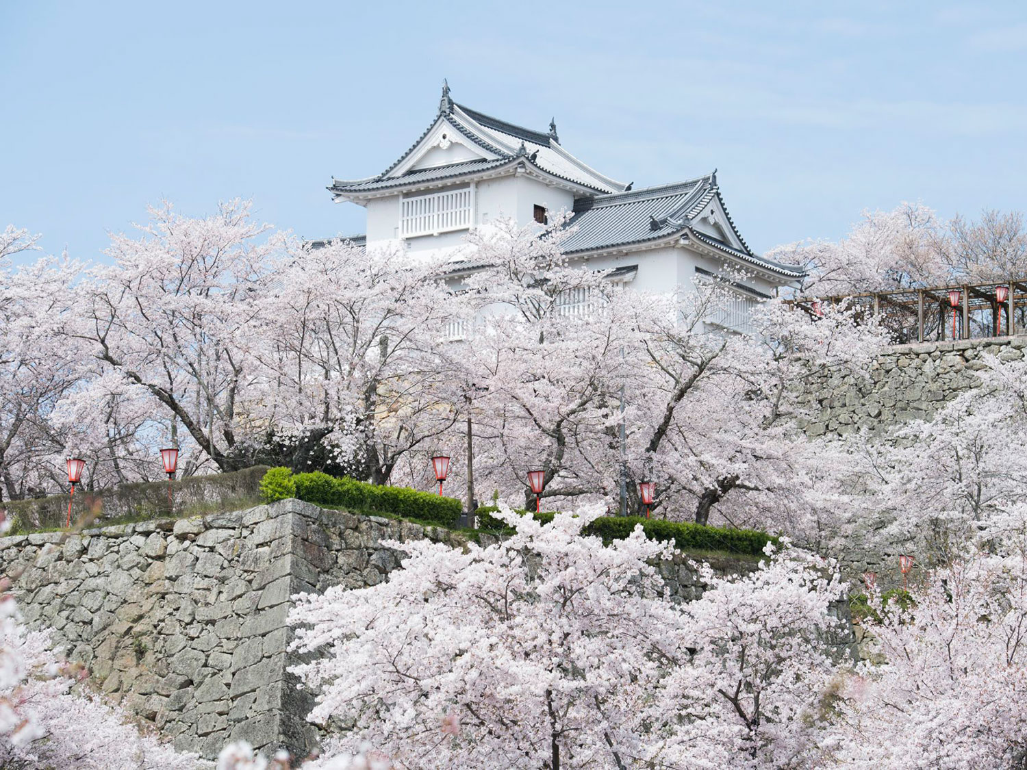 Tsuyama Castle