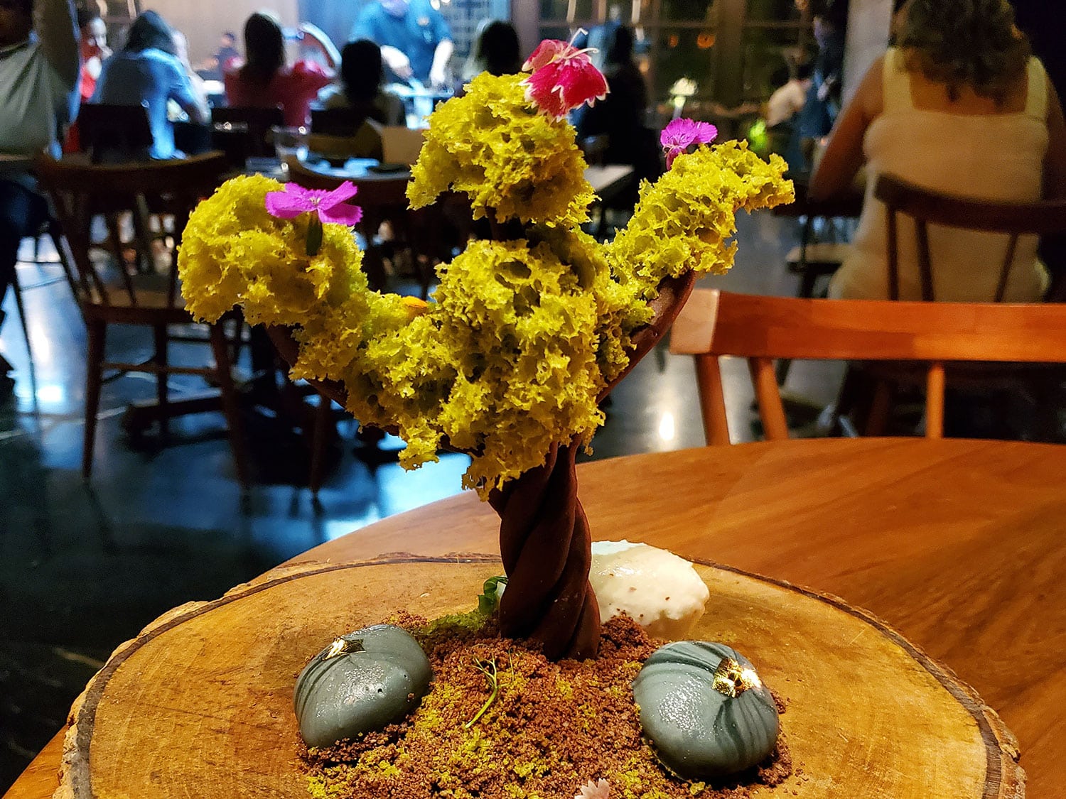 bonsai tree