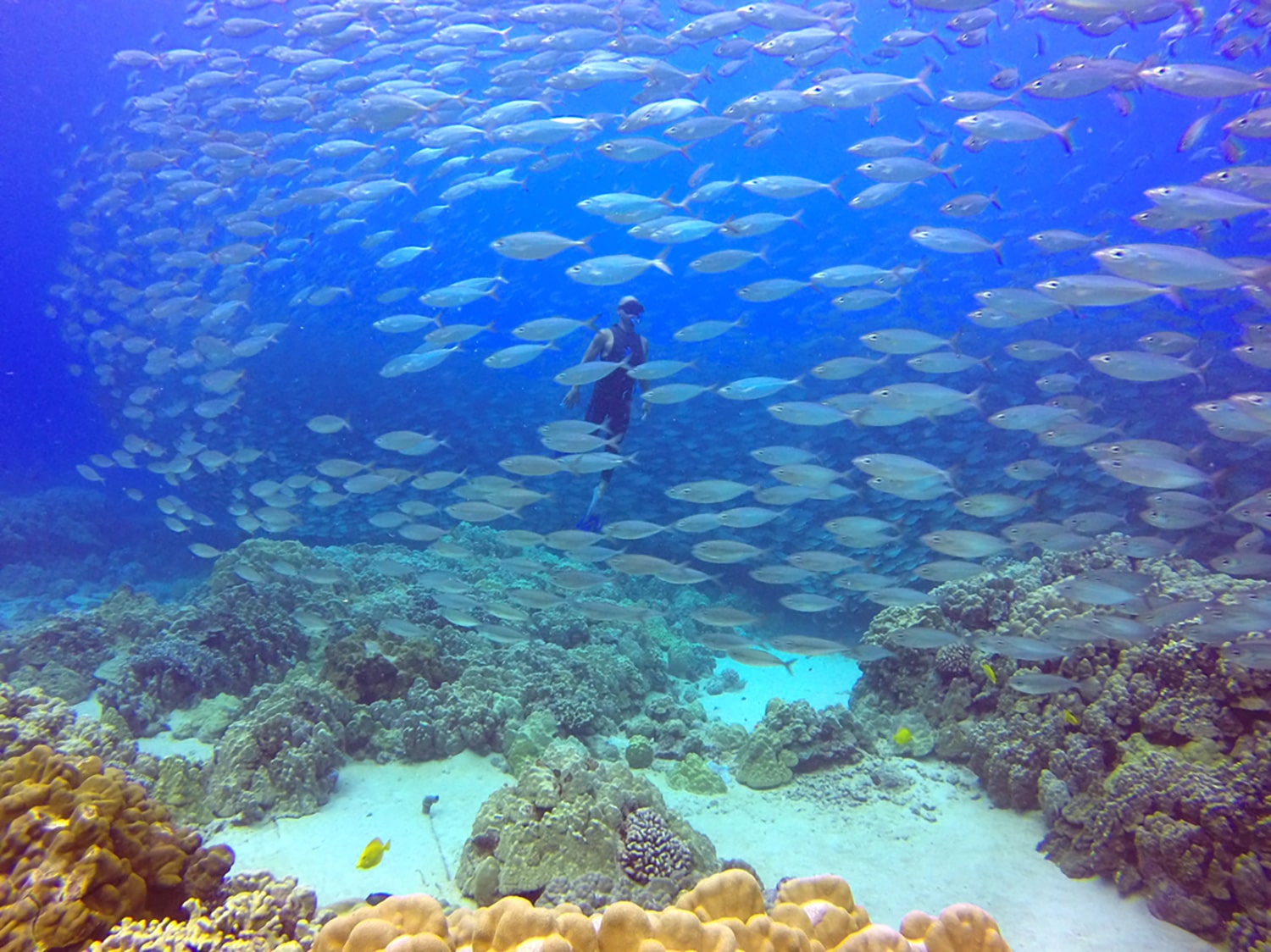 Snorkeling