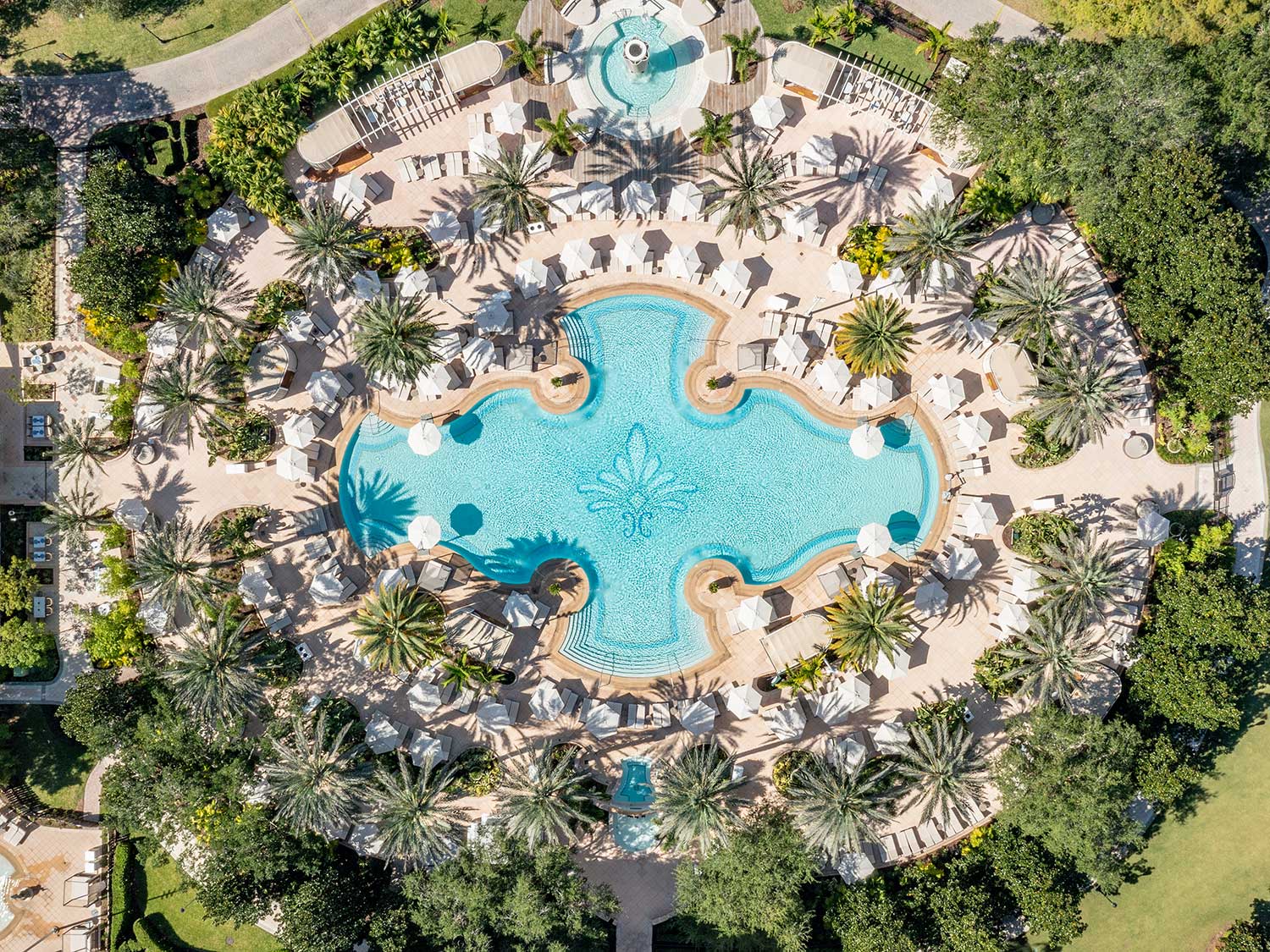 ritz carlton orlando pool