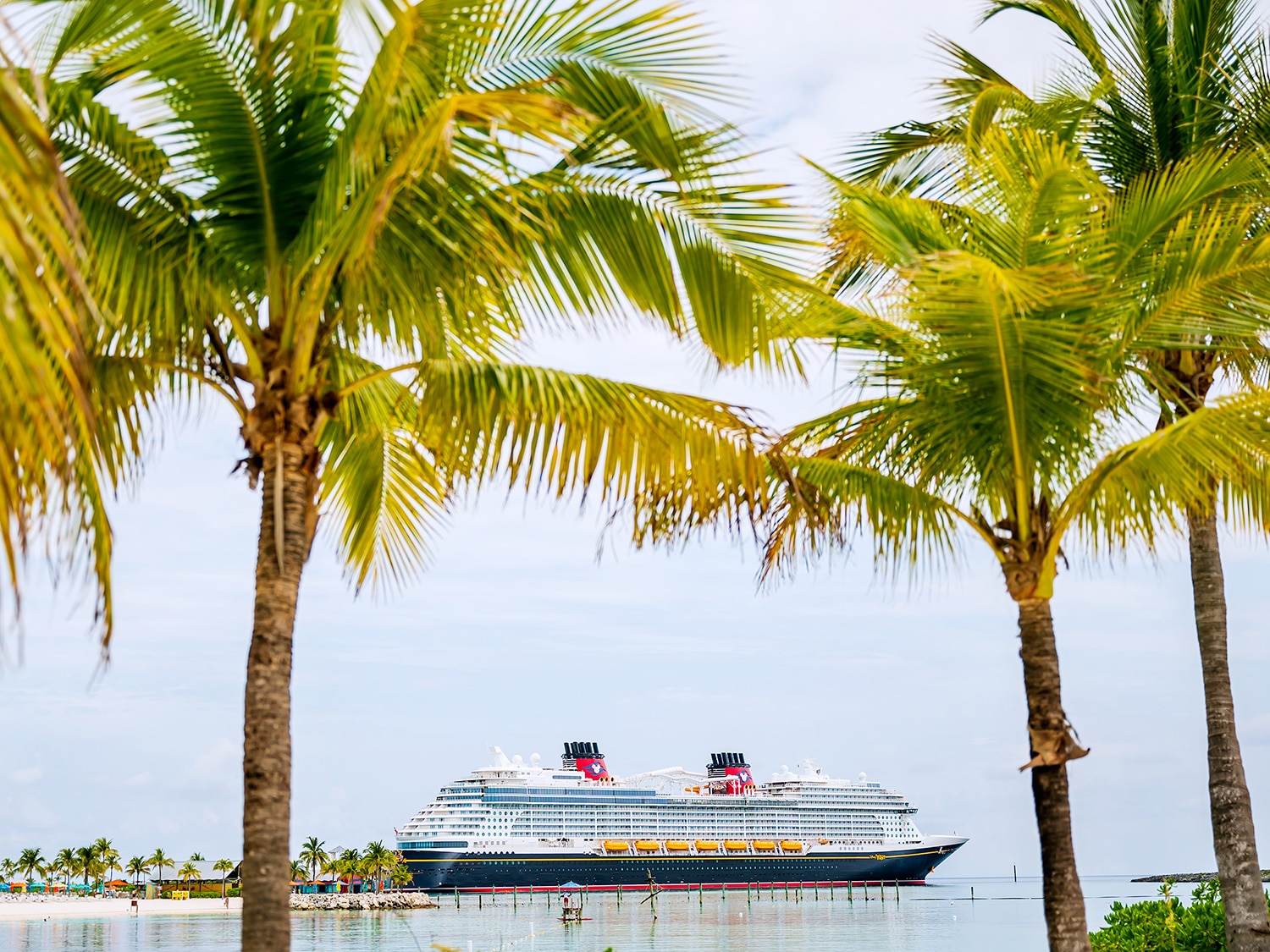 Disney Cruise Line
