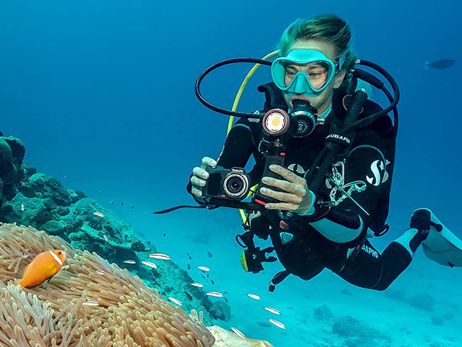 underwater camera