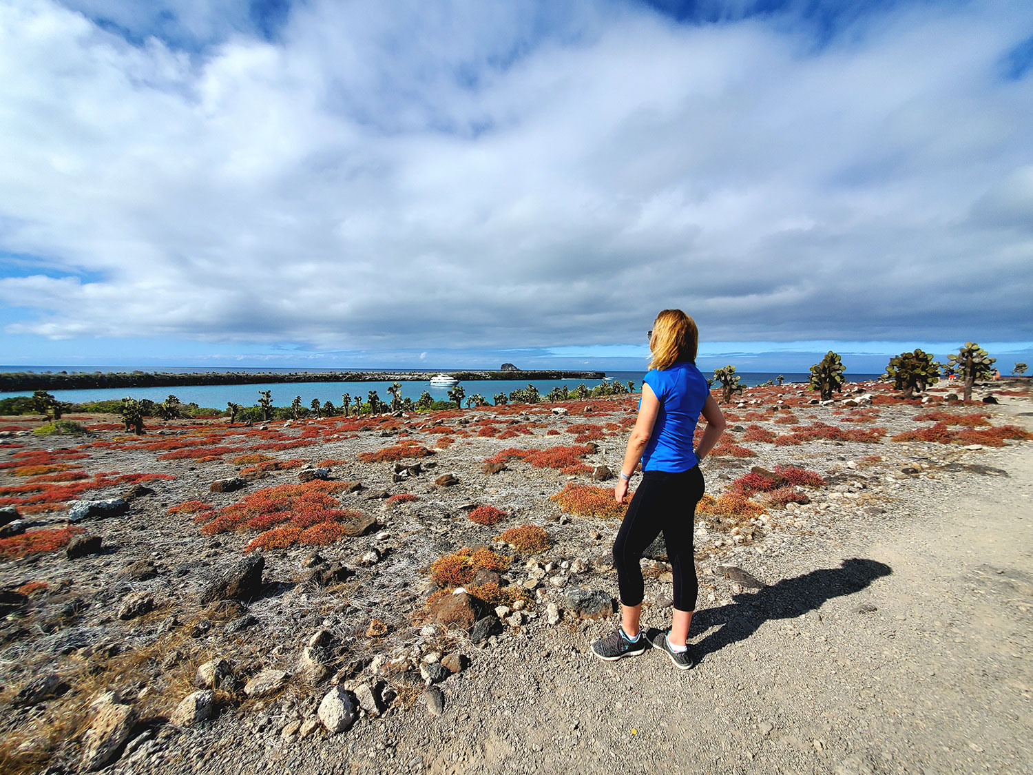 galapagos landscape