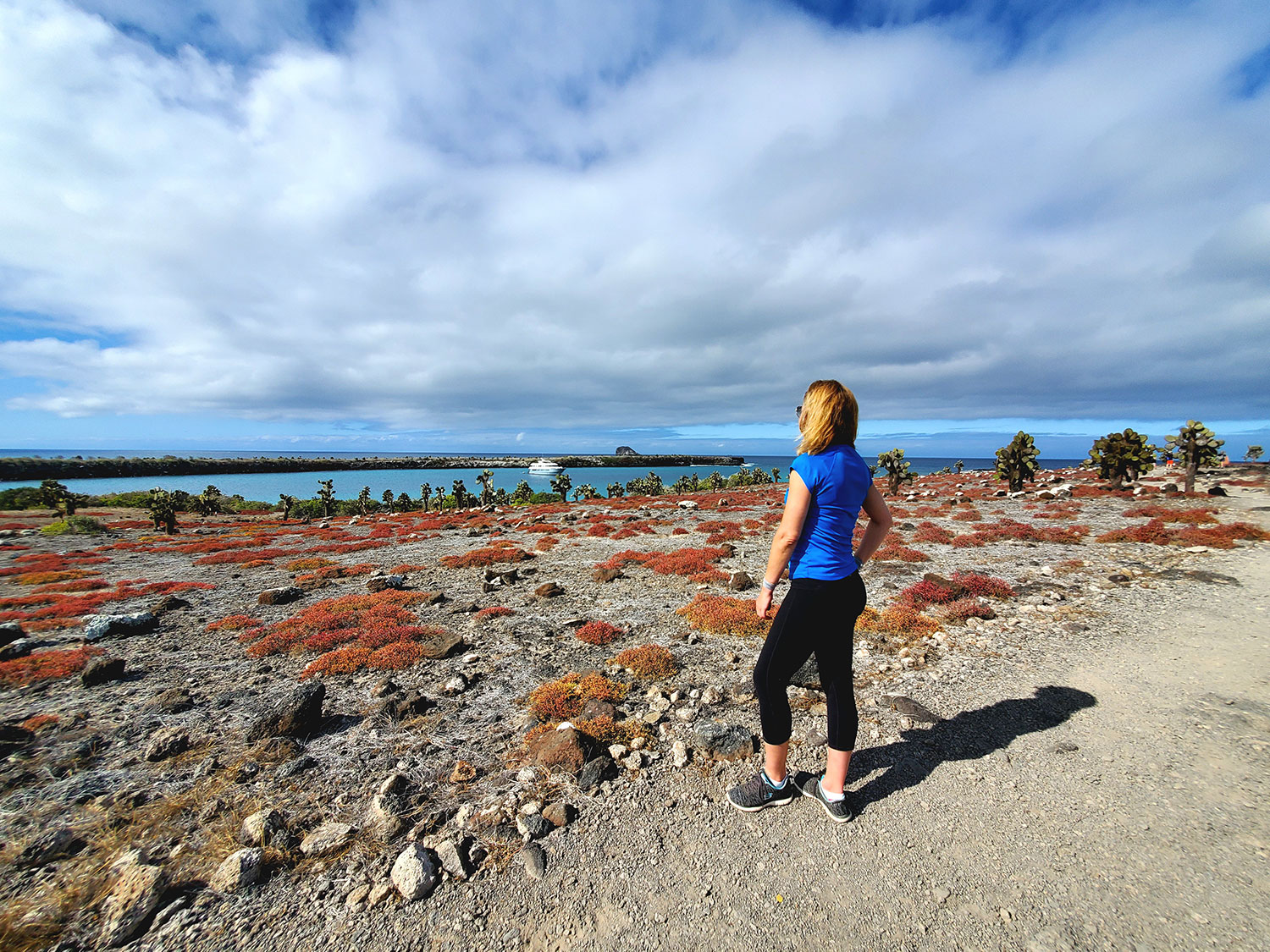 galapagos landscape