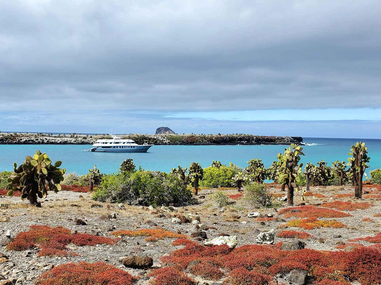 galapagos