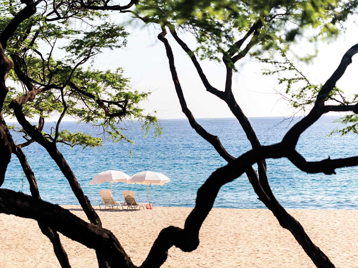 A view of the beach from the Four Seasons Lanai