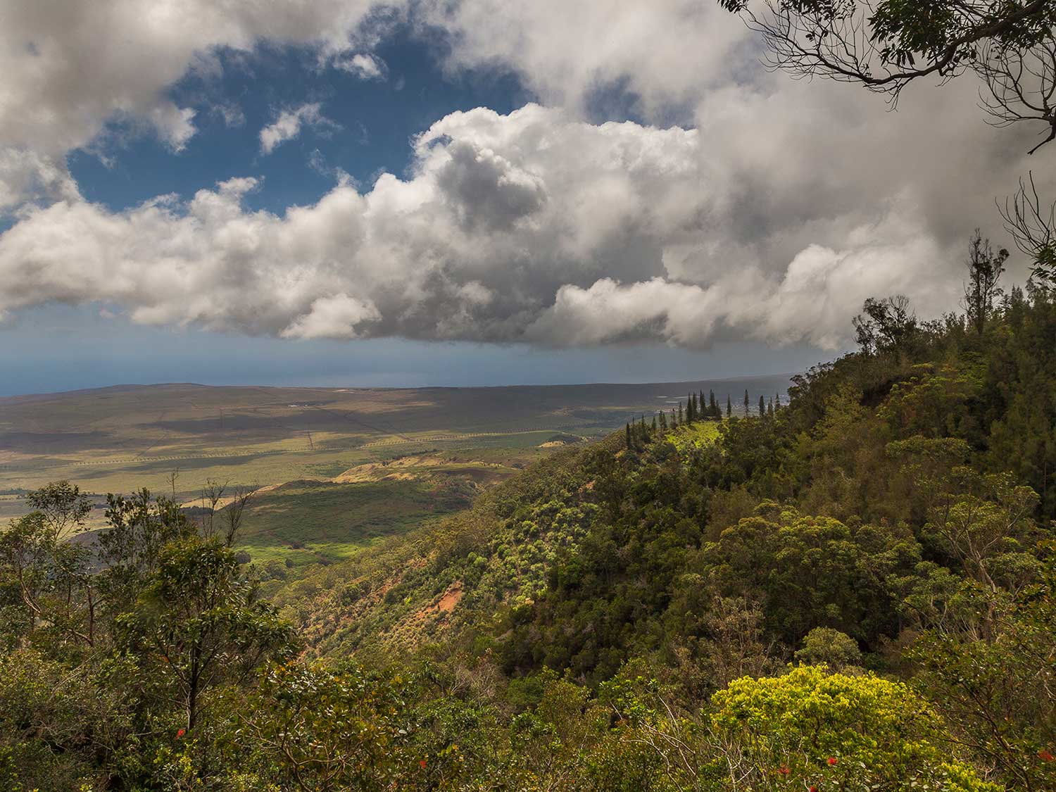 The munro Trail of the Four Seasons Lanai.