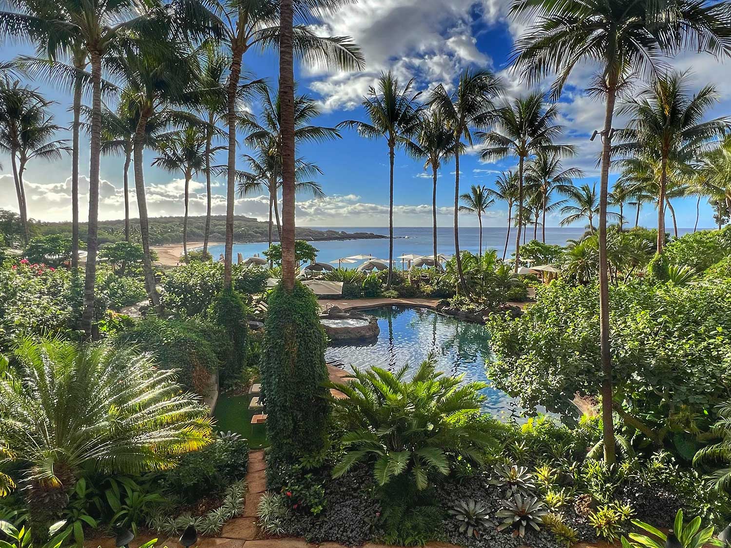 View of the tropical enviornment of the Four Seasons Lanai.